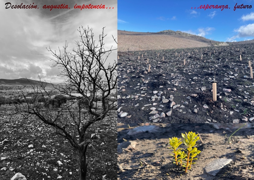 “Promising signs of life amidst fire-devastated forests as students express satisfaction with the course in auxiliary operations for conservation and improvement” – Report from Diocese of Ciudad Rodrigo